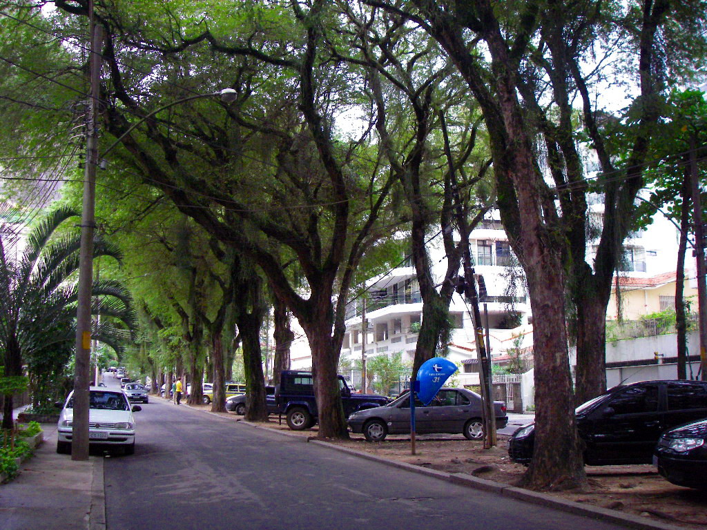 Grajau bairro