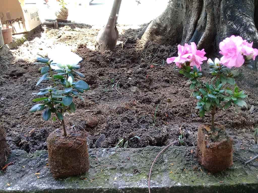 ProjetoMuda Grajau15