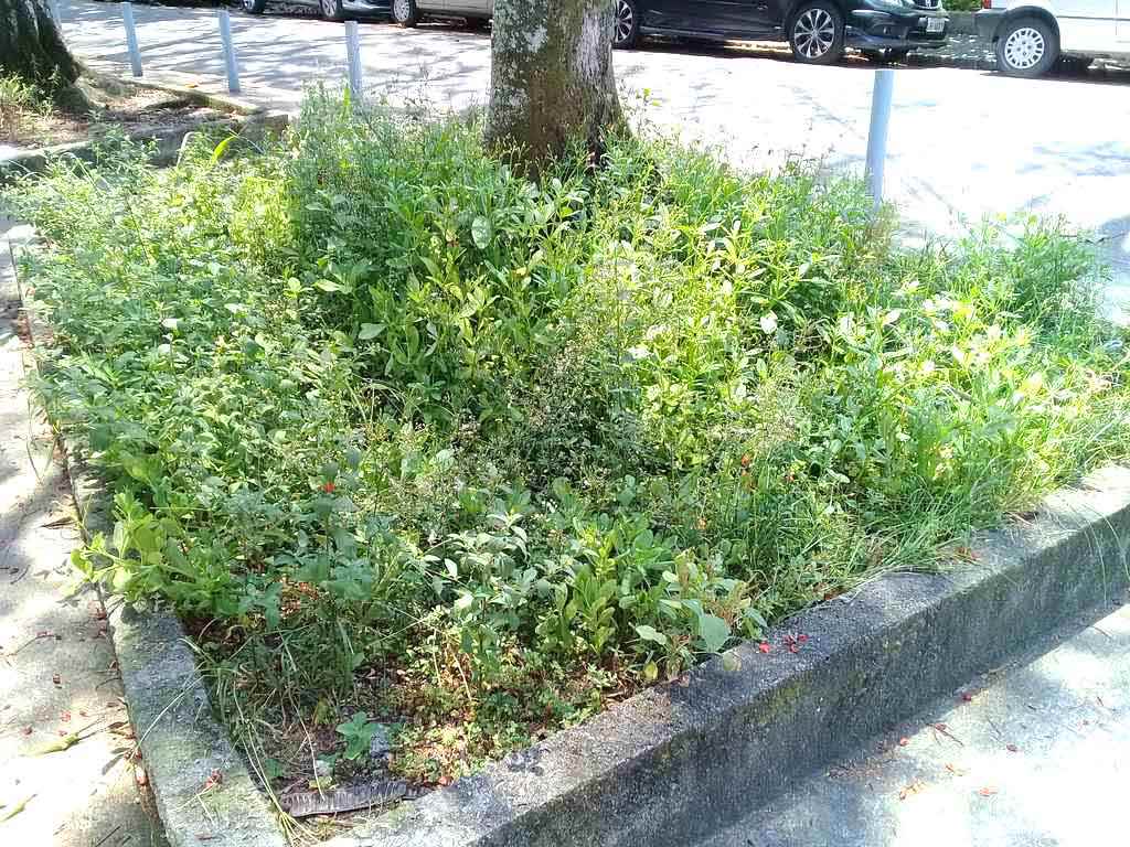 ProjetoMuda Grajau20