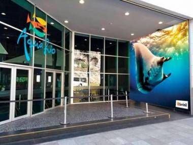 AquaRio recebe uma nova esp&eacute;cie: uma raia de 24m&sup2; que nem cabe dentro d'&aacute;gua. Conhe&ccedil;a!