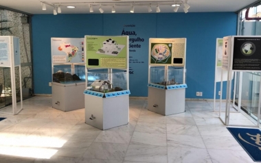 Sesc RJ leva exposi&ccedil;&atilde;o &ldquo;&Aacute;gua, um mergulho consciente&rdquo; ao AquaRio. Vai l&aacute;!