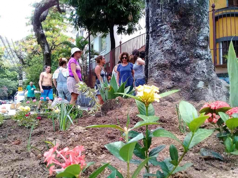 Projeto Muda - Grajaú