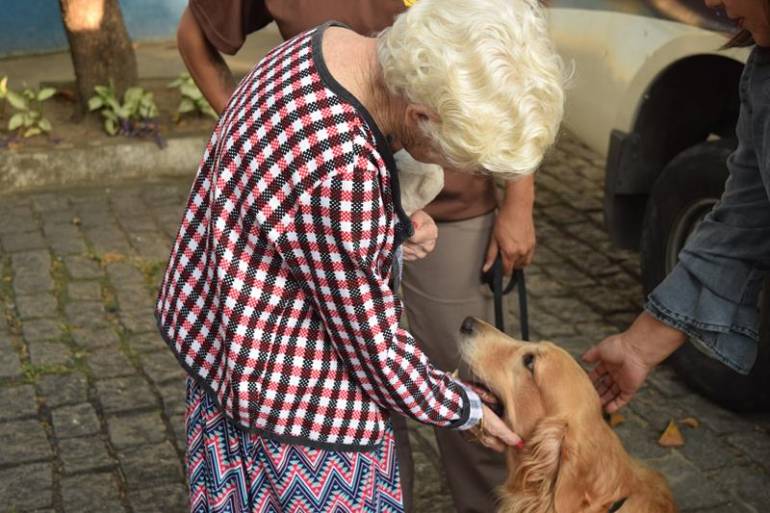 Cães de guarda na terapia para idosos do Abrigo Cristo Redentor