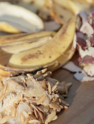 Webs&eacute;rie &ldquo;Mundo Green &ndash; em quarentena&rdquo;, do Green Nation, aborda os efeitos da pandemia a partir de eixos tem&aacute;ticos como alimenta&ccedil;&atilde;o, gest&atilde;o de res&iacute;duos, educa&ccedil;&atilde;o e trabalho reprodutivo