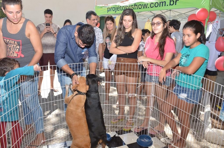 Primeira Feira de Adoção em Mangaratiba é sucesso