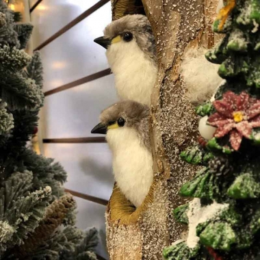 Com&eacute;rcio em Petr&oacute;polis j&aacute; come&ccedil;a a entrar no clima do Natal Imperial