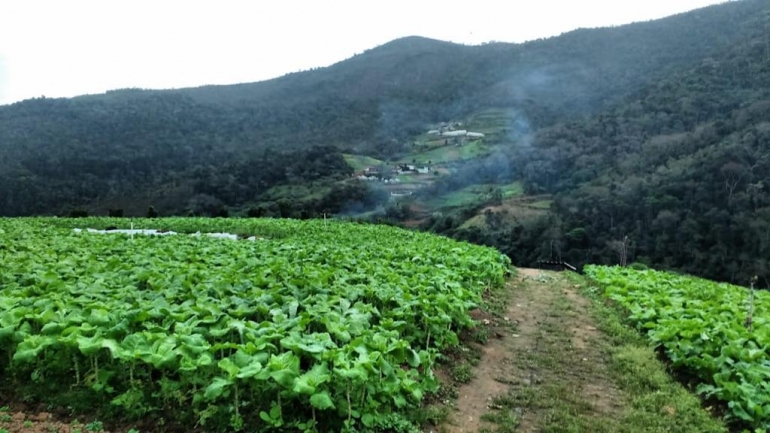 Meio Ambiente incentiva produtores rurais no reflorestamento das margens de rios da Cidade Imperial