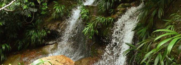 Cachoeira da Praia Brava em Trindade.