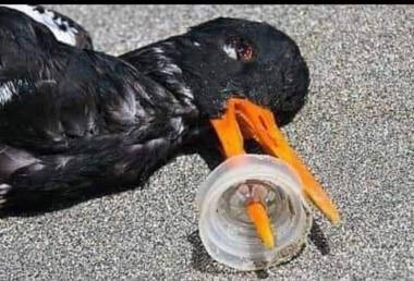 Rio pro&iacute;be fabrica&ccedil;&atilde;o e utiliza&ccedil;&atilde;o de microesferas pl&aacute;sticas