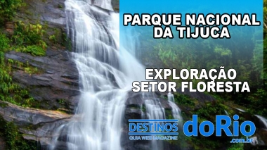 Explora&ccedil;&atilde;o no Parque Nacional da Tijuca (Setor floresta)