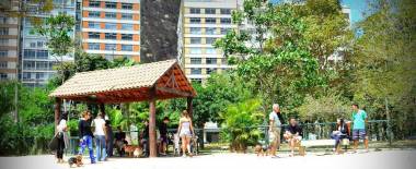 'ParCão da Lagoa' é o parque dos cachorros na Lagoa Rodrigo de Freitas.