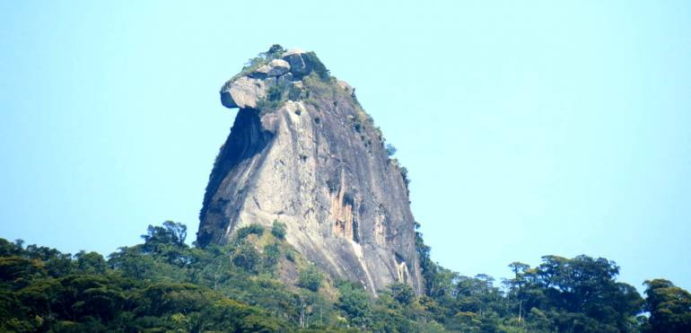 Pico do Papagaio. Imagine-se em um mirante natural de 990 metros de altitude bem no meio da Ilha Grande