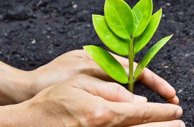 Lab Inova&ccedil;&atilde;o Financeira