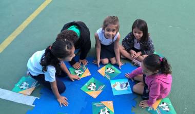 Projeto Albatroz al&ccedil;a v&ocirc;os rumo ao RJ e participa da Virada Sustent&aacute;vel