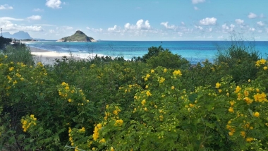 Foto depois da recupera&ccedil;&atilde;o