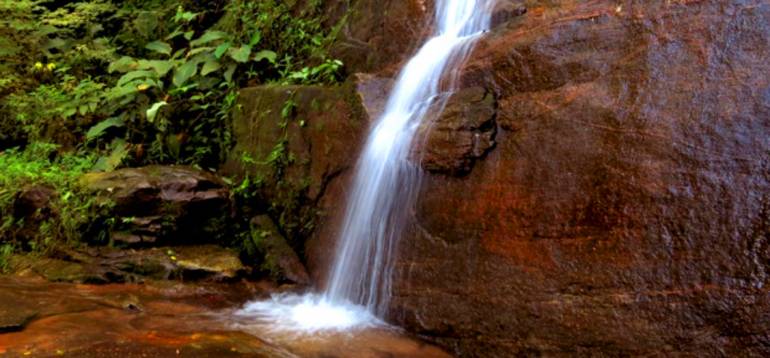 Cachoeira dos Primatas é ao lado da Gruta dos Primatas e fica no Parque Nacional da Tijuca.