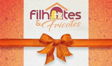 A pet shop Filhotes &amp; Fricotes no graja&uacute;, foca na organiza&ccedil;&atilde;o, higiene e atendimento ao cliente.